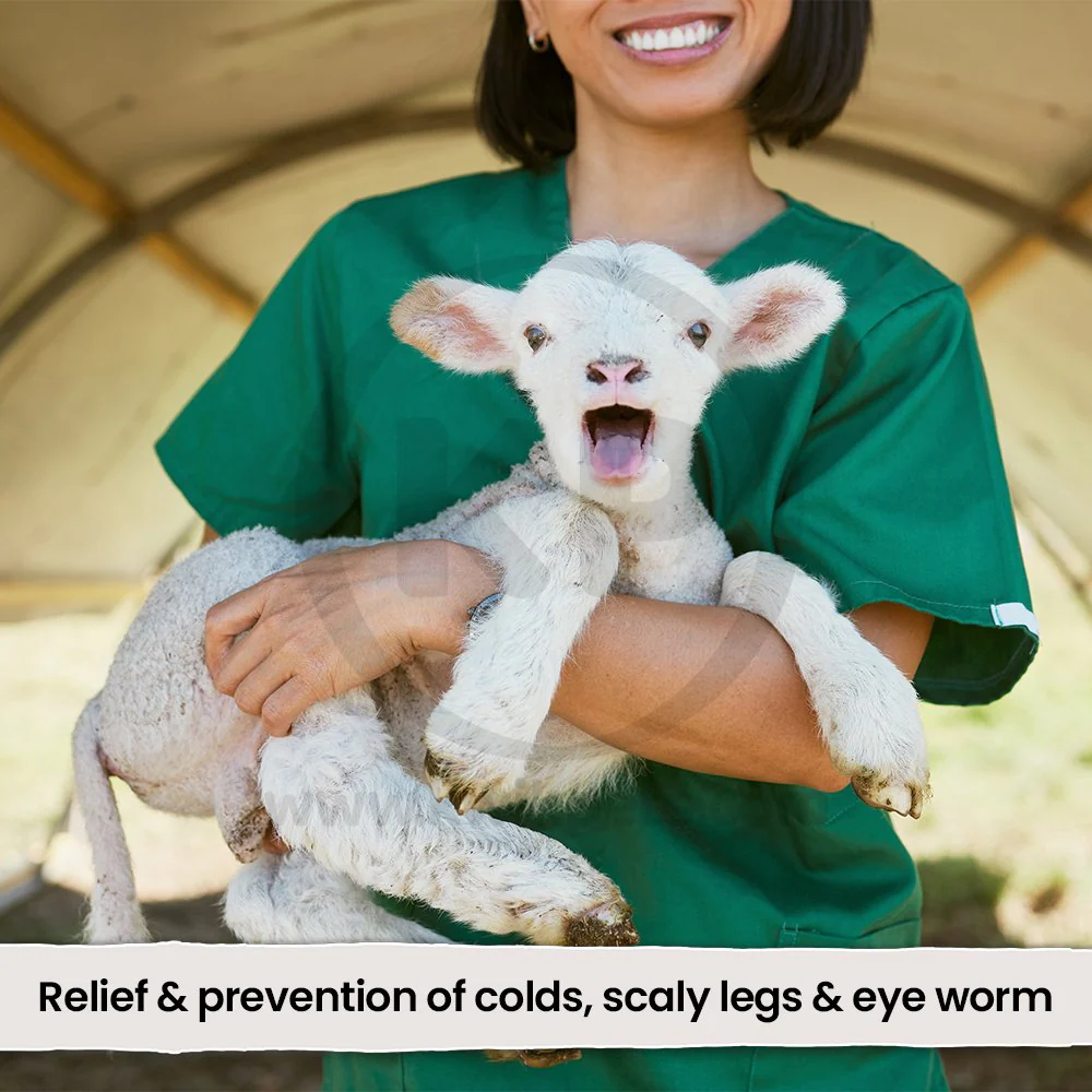 VetRx Goat & Sheep Aid Respiratory Support Solution 2-oz - Image 5