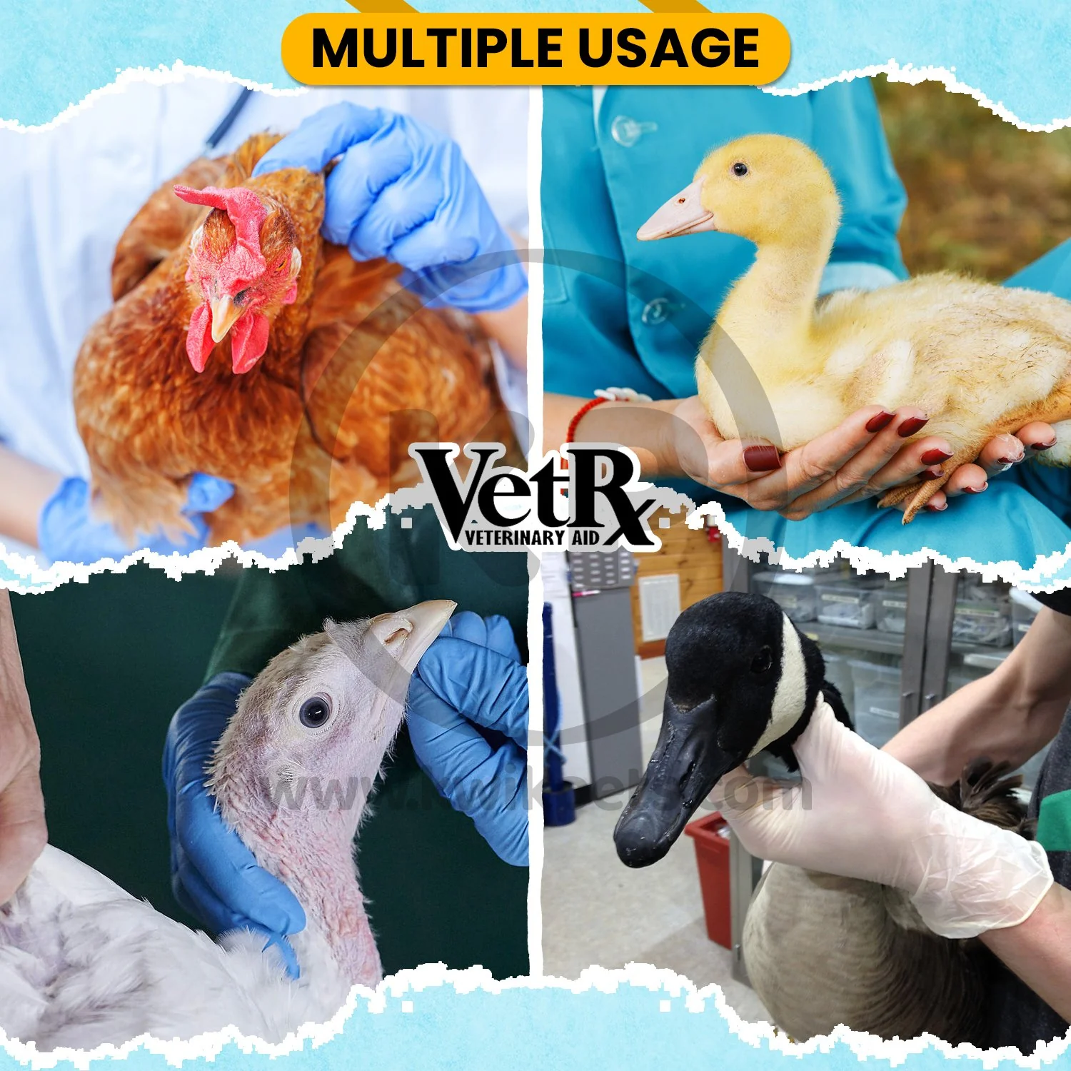 VetRx Poultry Aid Respiratory Support Solution 2-oz - Image 4