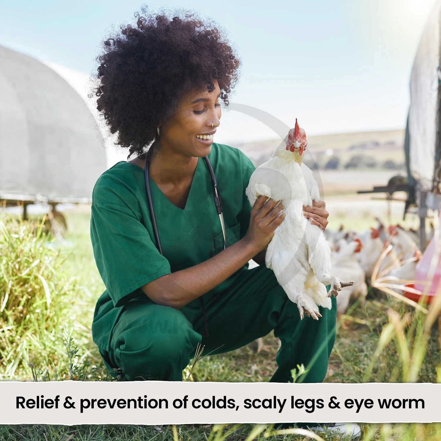 VetRx Poultry Aid Respiratory Support Solution 2-oz - Image 5