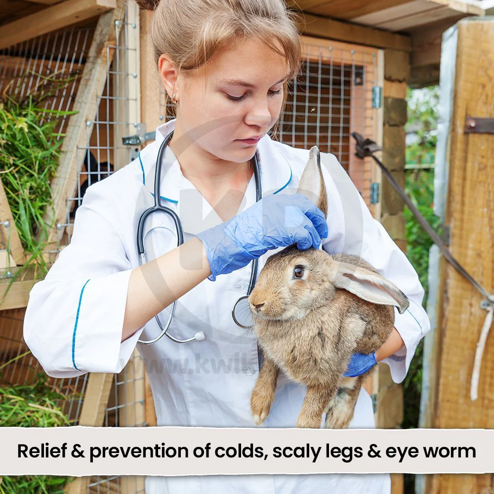 VetRx Rabbit Aid Respiratory Support Solution 2-oz - Image 5