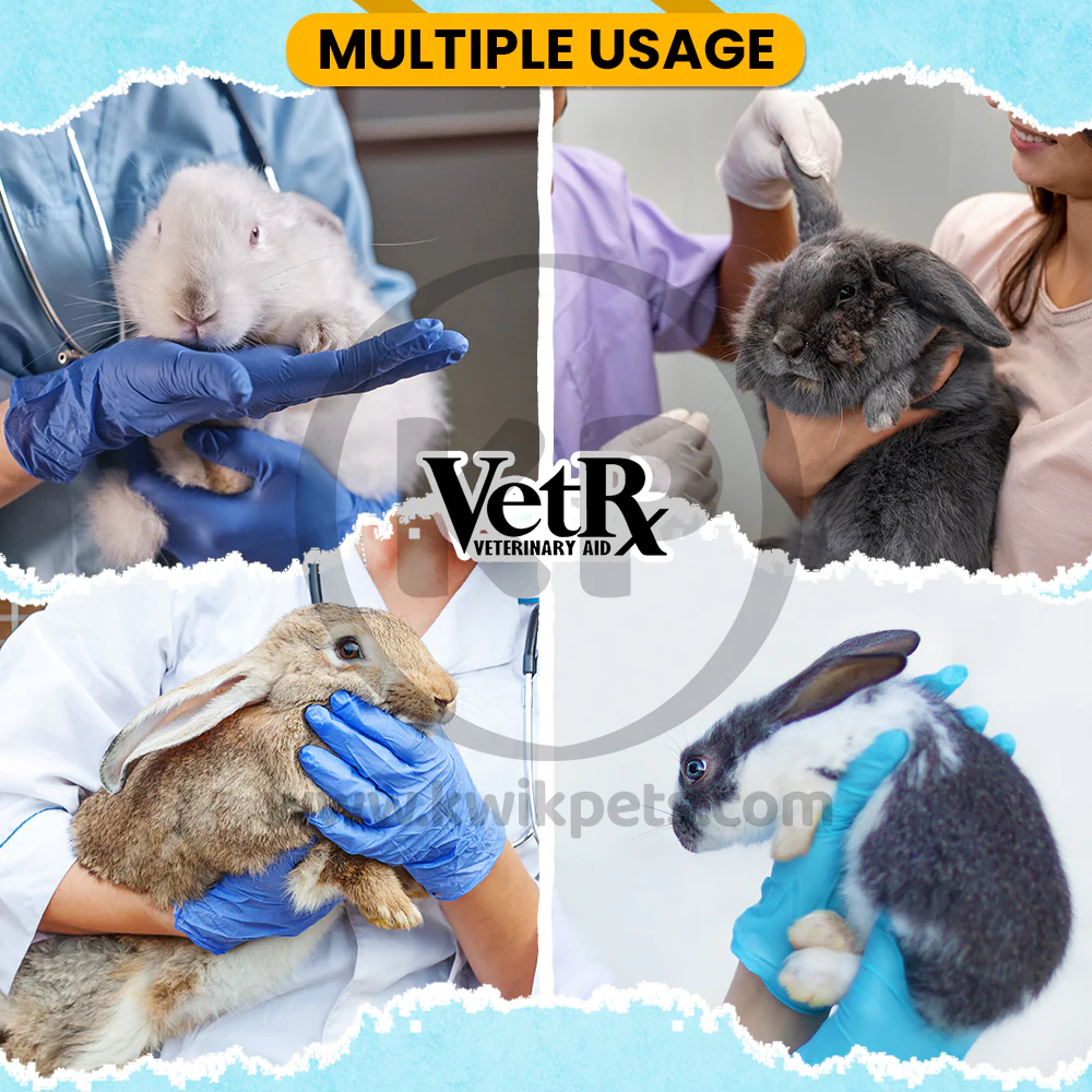 VetRx Rabbit Aid Respiratory Support 2-oz - Image 4