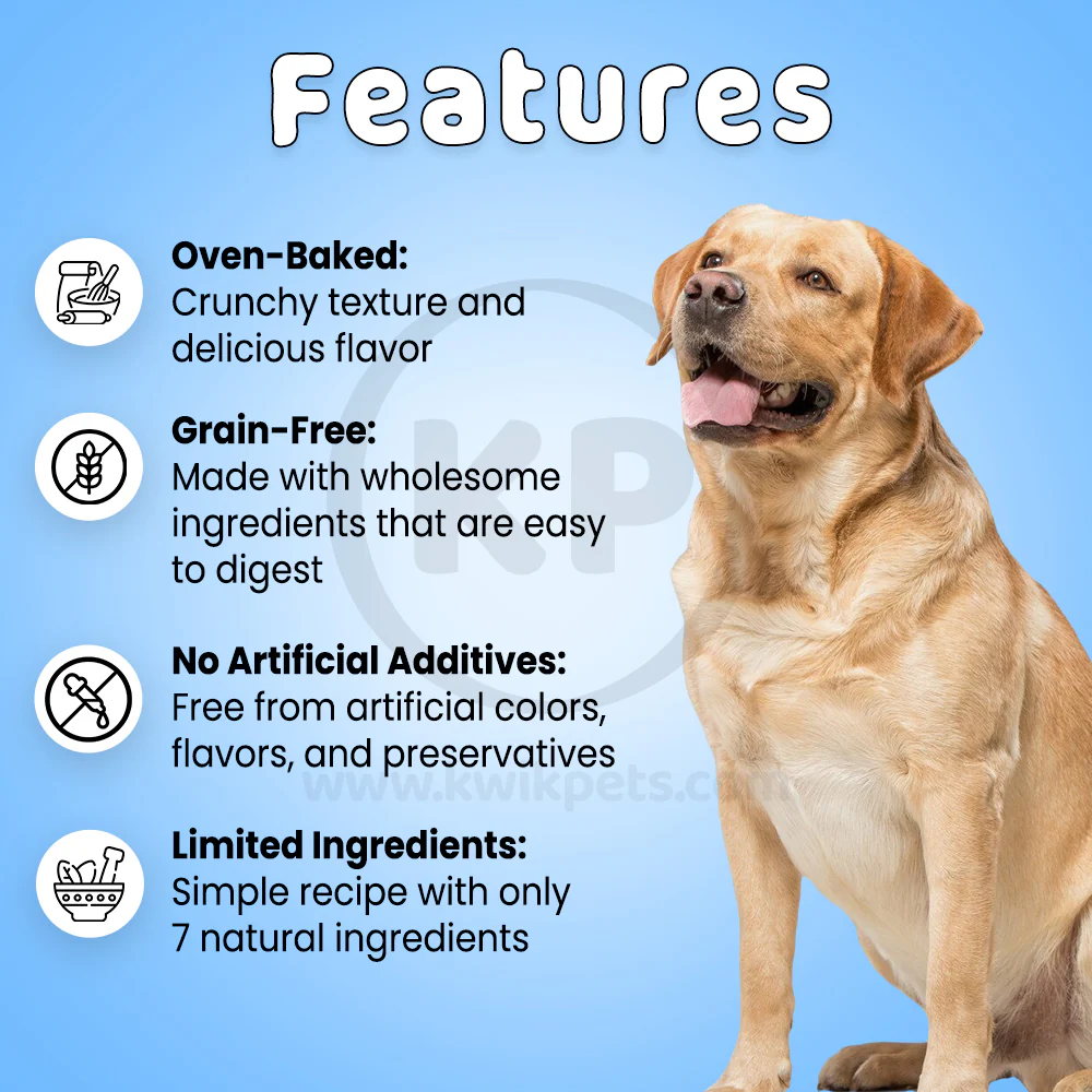 Cloud Star Wag More Bark Less Grain Free Biscuits Crunchy Dog Treats with Pumpkin 14-oz - Image 2