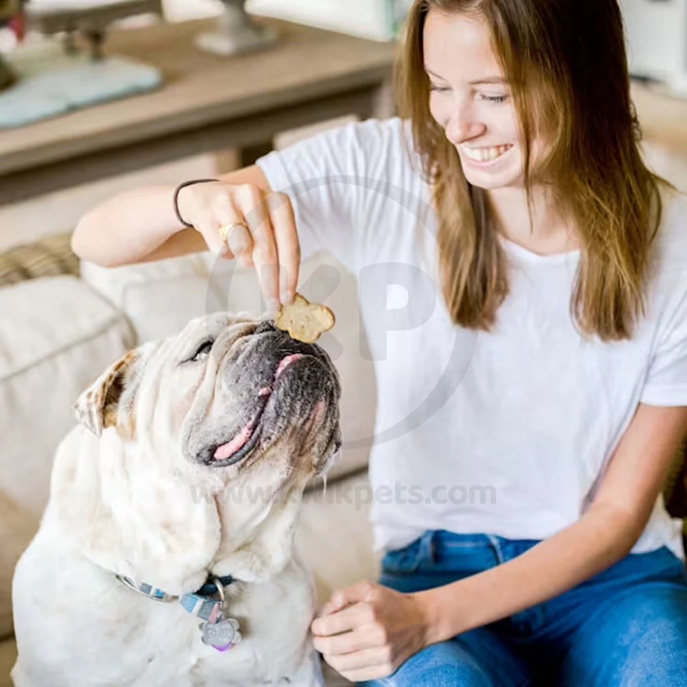 Cloud Star Wag More Bark Less Grain Free Biscuits Crunchy Dog Treats with Pumpkin 14-oz - Image 6