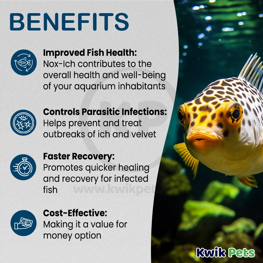Weco Products Nox-Ich Ich Control Treatment for Fish 4-oz - Image 4