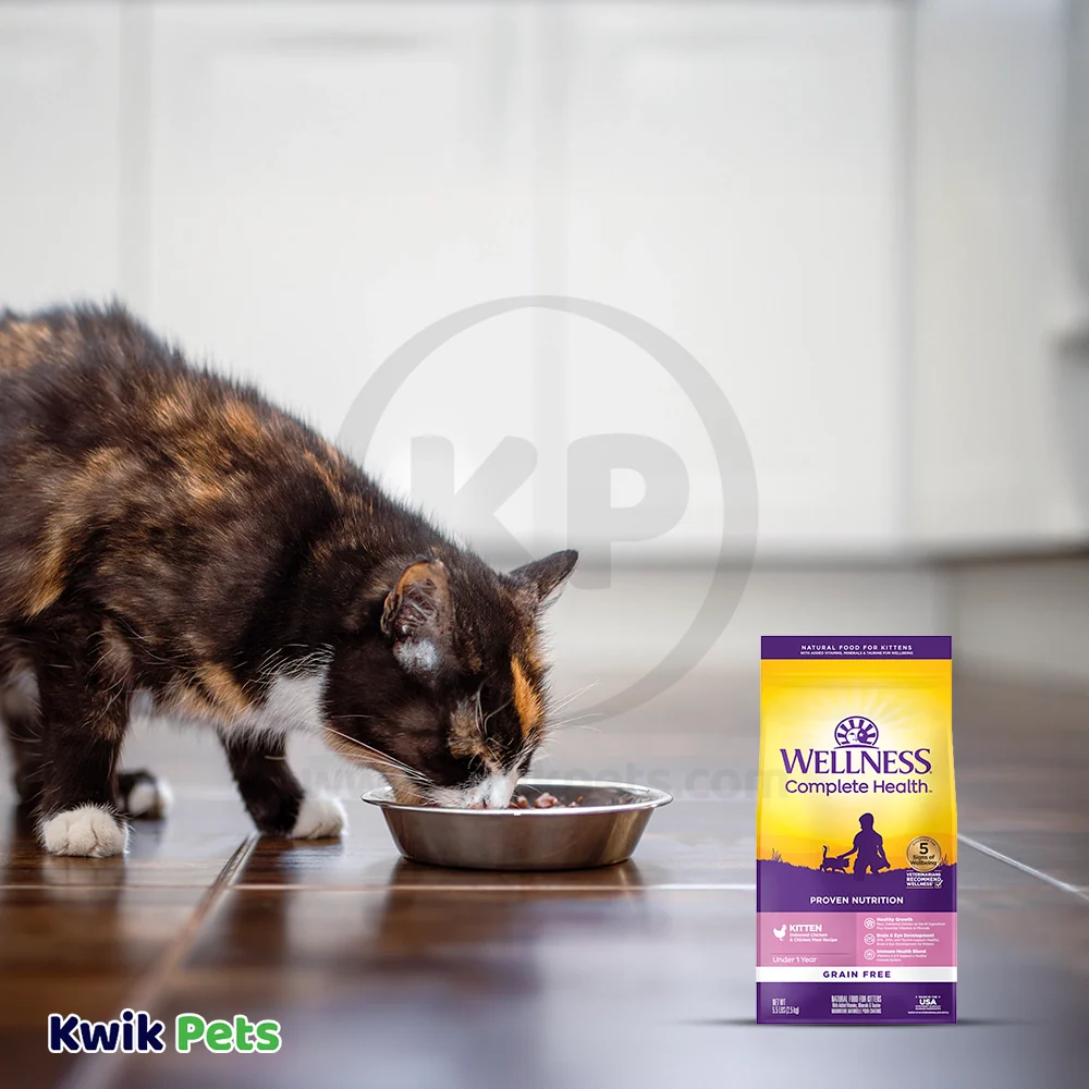 Wellness Complete Health Grain-Free Kitten Dry Cat Food Deboned Chicken & Chicken Meal Recipe 5.5-lb - Image 7