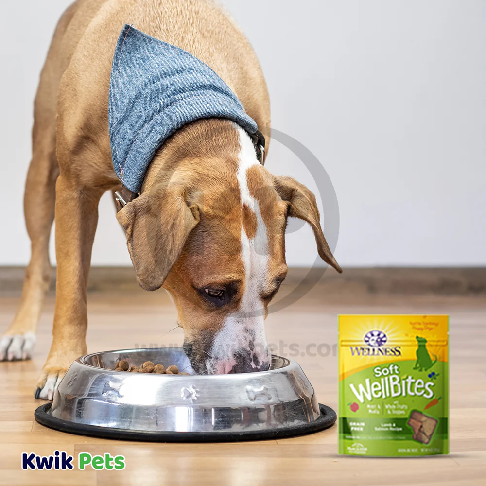 Wellness Soft WellBites Grain-Free Natural Dog Treats Lamb & Salmon 6-oz - Image 5