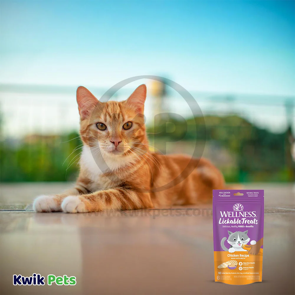 Wellness Puree Natural Grain-Free Lickable Cat Treats Chicken 6 Count 2.53-oz - Image 5