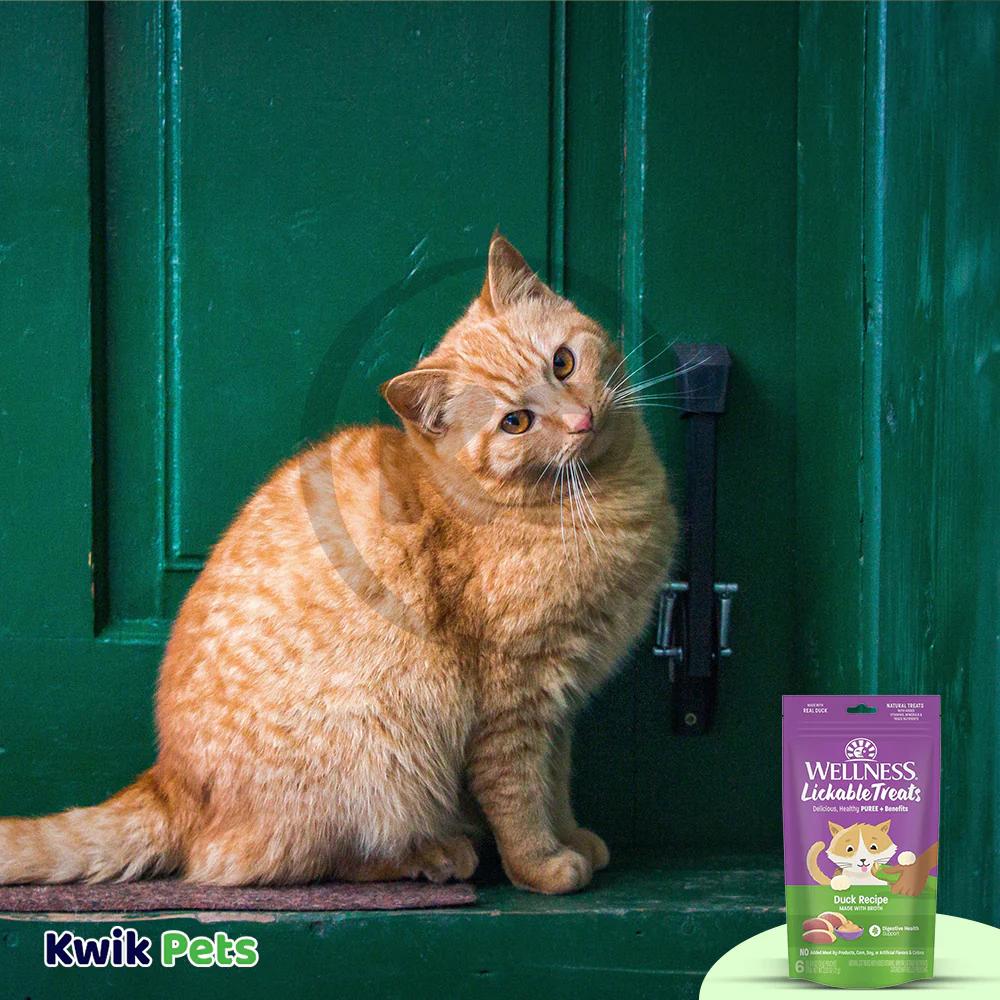 Wellness Puree Natural Grain-Free Lickable Cat Treats Duck 6 Count 2.53-oz - Image 5