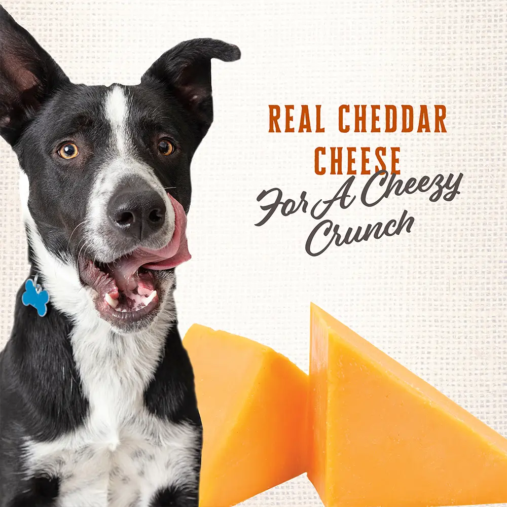 Wholesomes Gourmet Rewards Cheezy Bites Biscuits Oven-Baked Dog Treats Cheddar Cheese 3-lb - Image 4