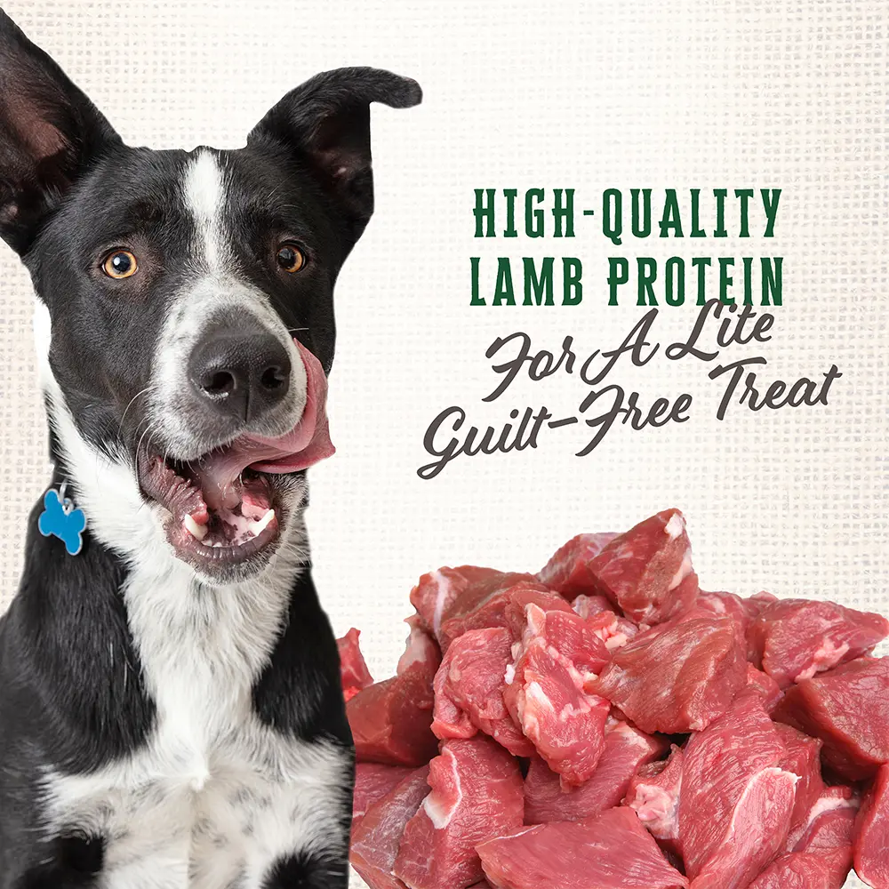 Wholesomes Gourmet Rewards Lite Bites Biscuits Oven-Baked Dog Treats Lamb 3-lb - Image 4