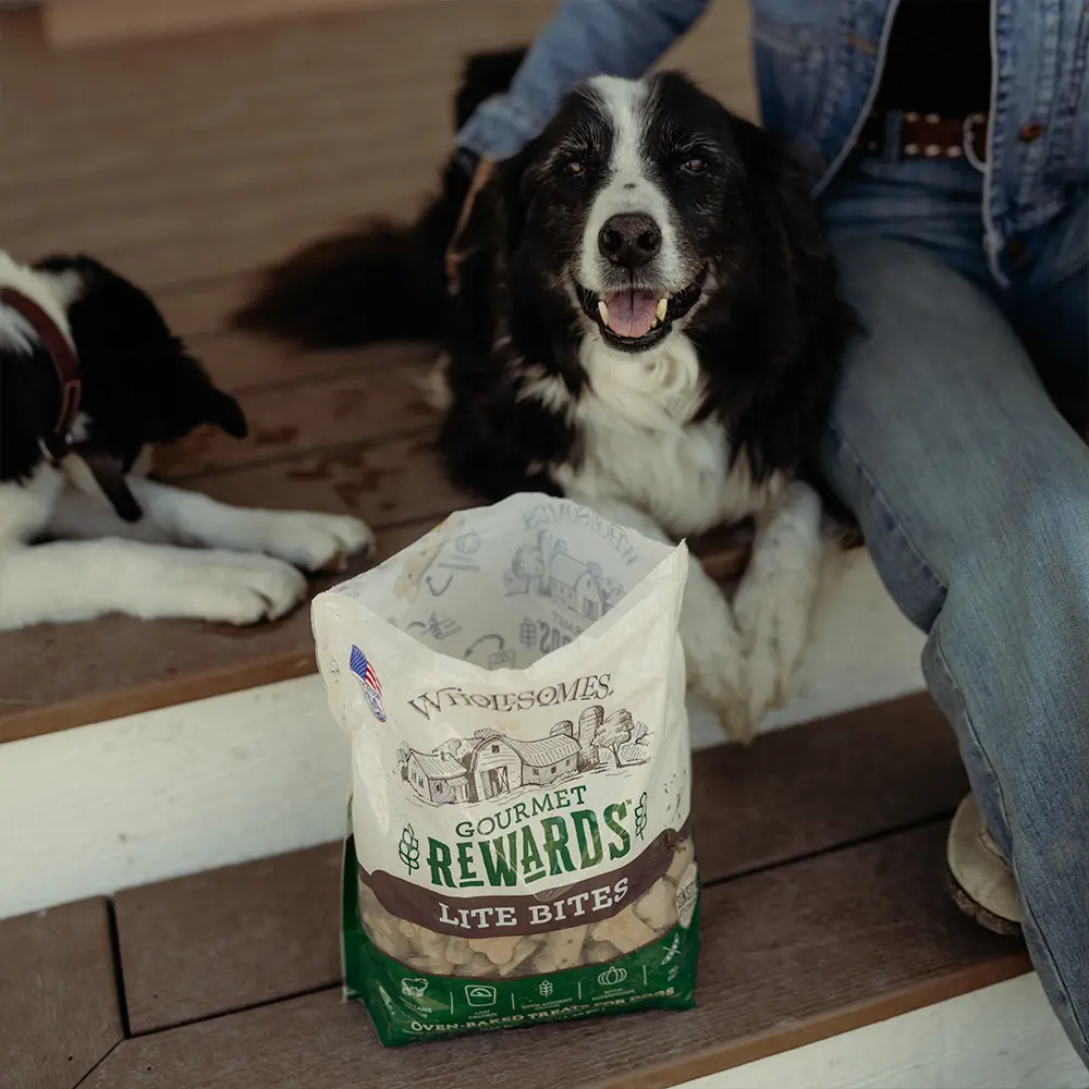 Wholesomes Gourmet Rewards Lite Bites Biscuits Oven-Baked Dog Treats Lamb 3-lb - Image 6
