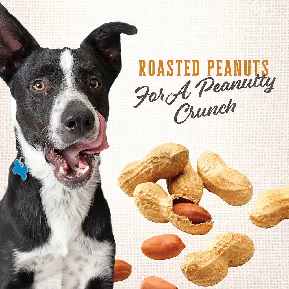 Wholesomes Gourmet Rewards Nut'R'Nipz Biscuits Oven-Baked Dog Treats Peanut Butter 2-lb - Image 4