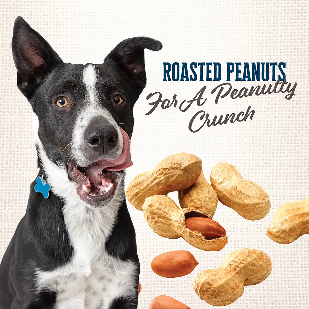 Wholesomes Gourmet Rewards Peanutty Bites Biscuits Oven-Baked Dog Treats Peanut Butter 3-lb - Image 4