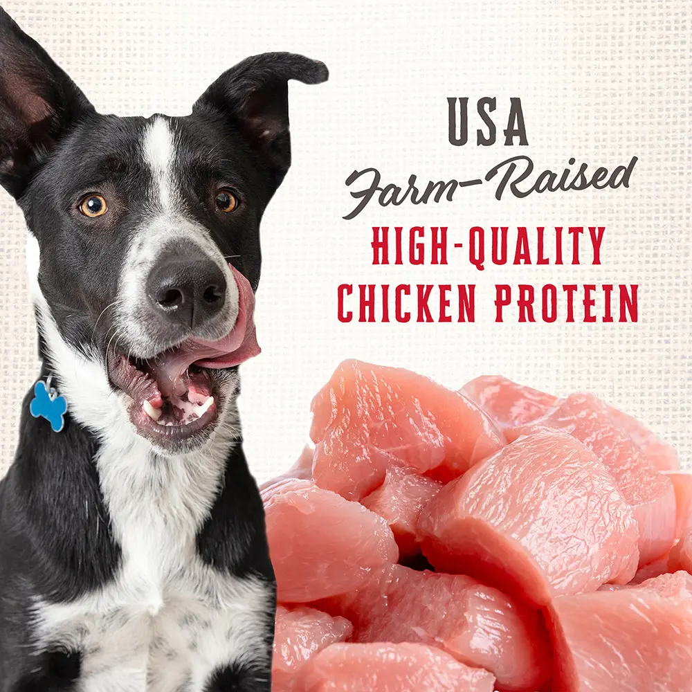 Wholesomes Rewards Medium Variety Biscuit Oven-Baked Dog Treats Chicken 3-lb - Image 4
