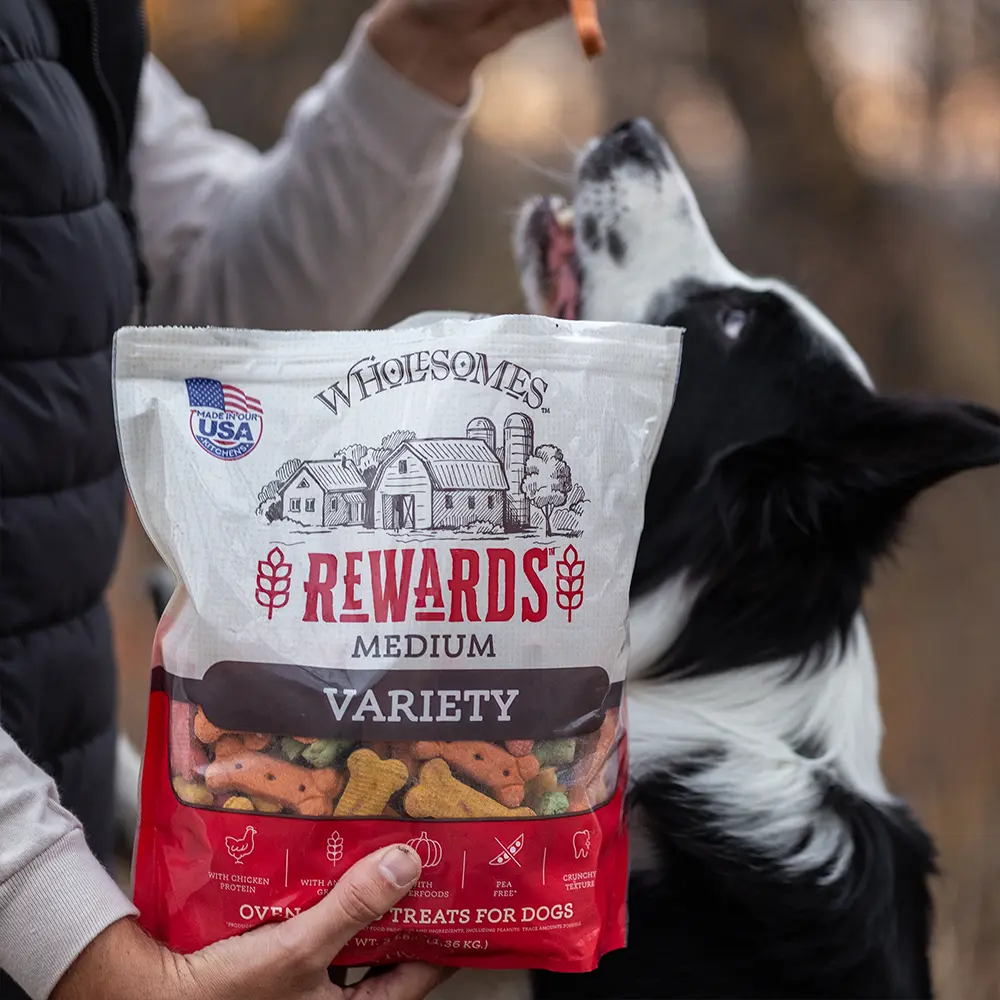 Wholesomes Rewards Medium Variety Biscuit Oven-Baked Dog Treats Chicken 3-lb - Image 6