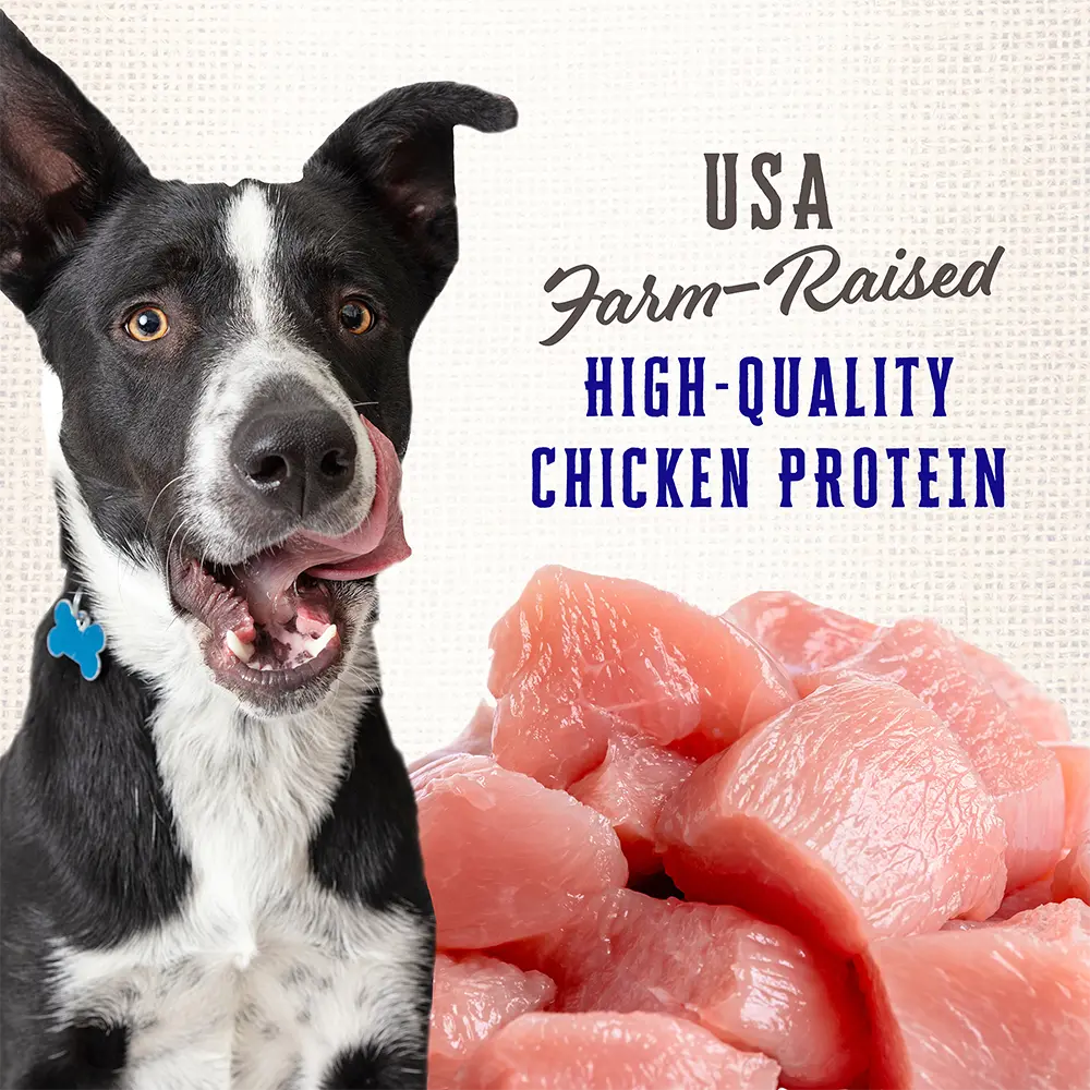 Wholesomes Rewards Puppy Variety Biscuit Oven-Baked Dog Treats Chicken 2-lb - Image 4