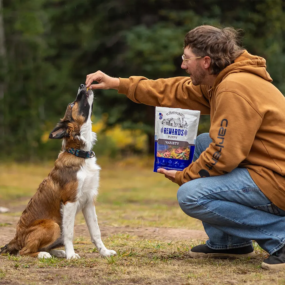 Wholesomes Rewards Puppy Variety Biscuit Oven-Baked Dog Treats Chicken 2-lb - Image 6