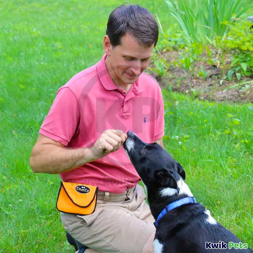Woofhoof Dog Treat Pouch Black - Image 6