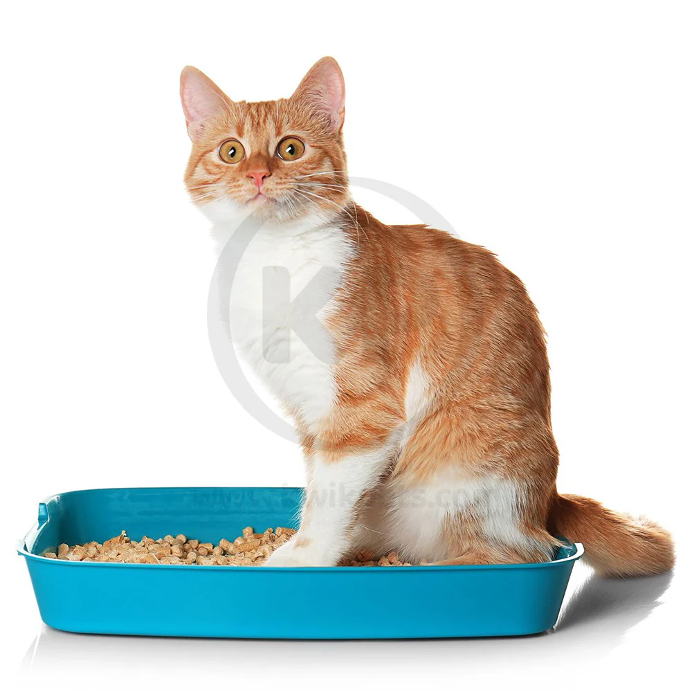 World's Best Cat Litter Original Unscented Formula 15-lb - Image 5