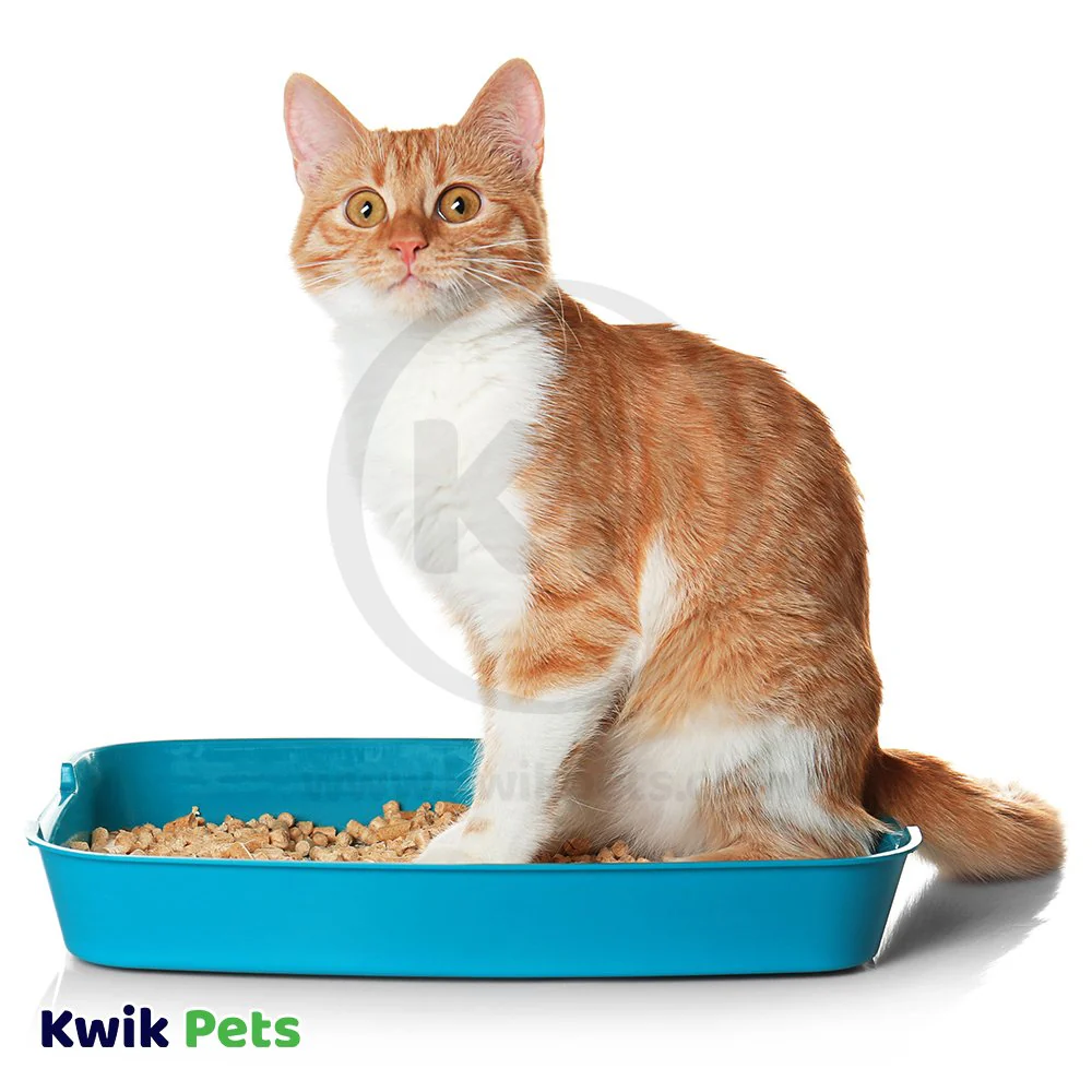 World's Best Cat Litter Original Unscented Formula 8-lb - Image 5