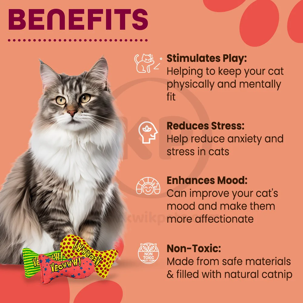 Yeowww! Stinkies Sardines Catnip Cat Toy Assorted 3 Count 3-in - Image 4