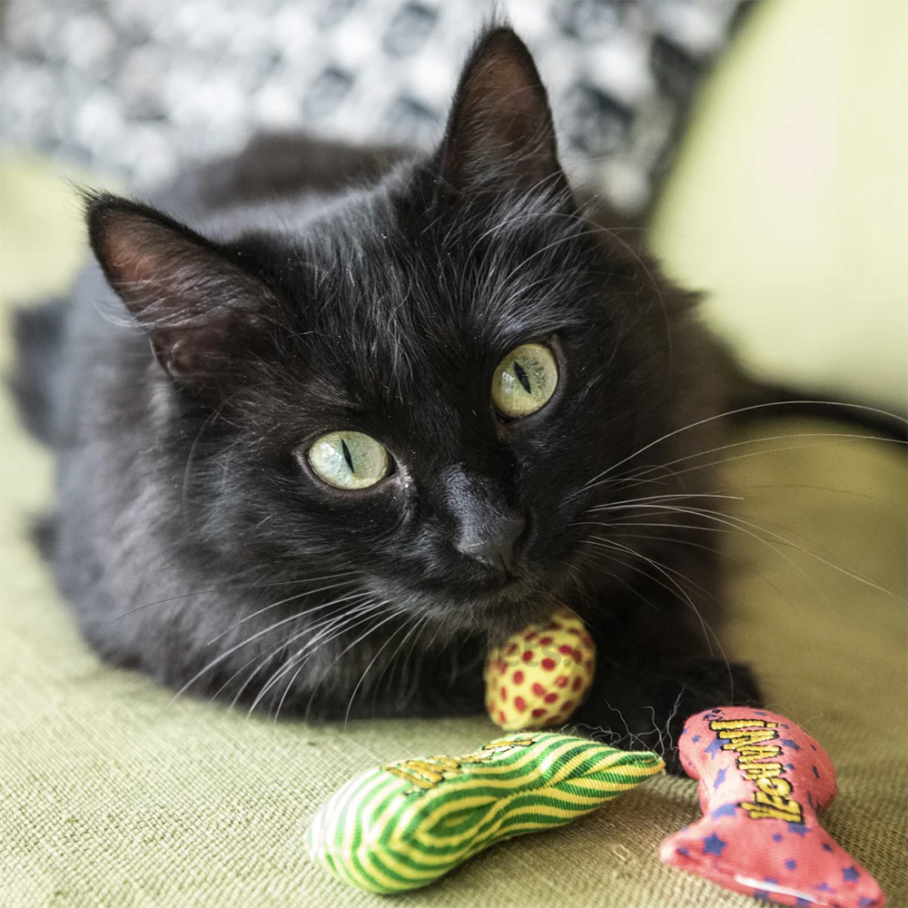 Yeowww! Stinkies Sardines Catnip Cat Toy Yellow & Red 3-in - Image 5