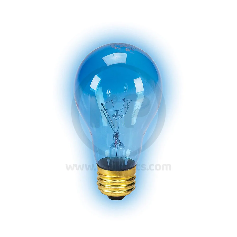 Zilla Day Blue Light Incandescent Bulb 100W - Image 4