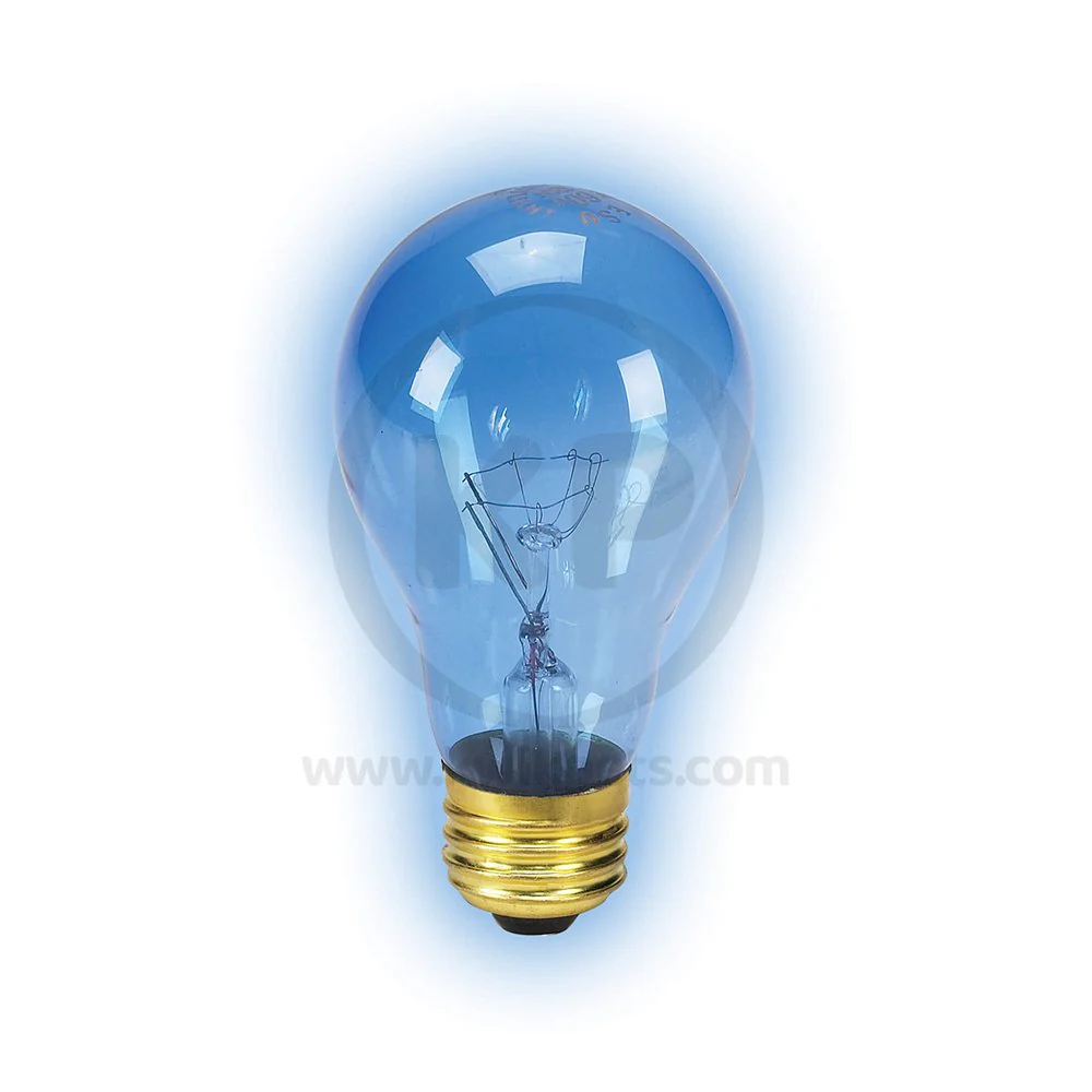 Zilla Day Blue Light Incandescent Bulb 50W - Image 4