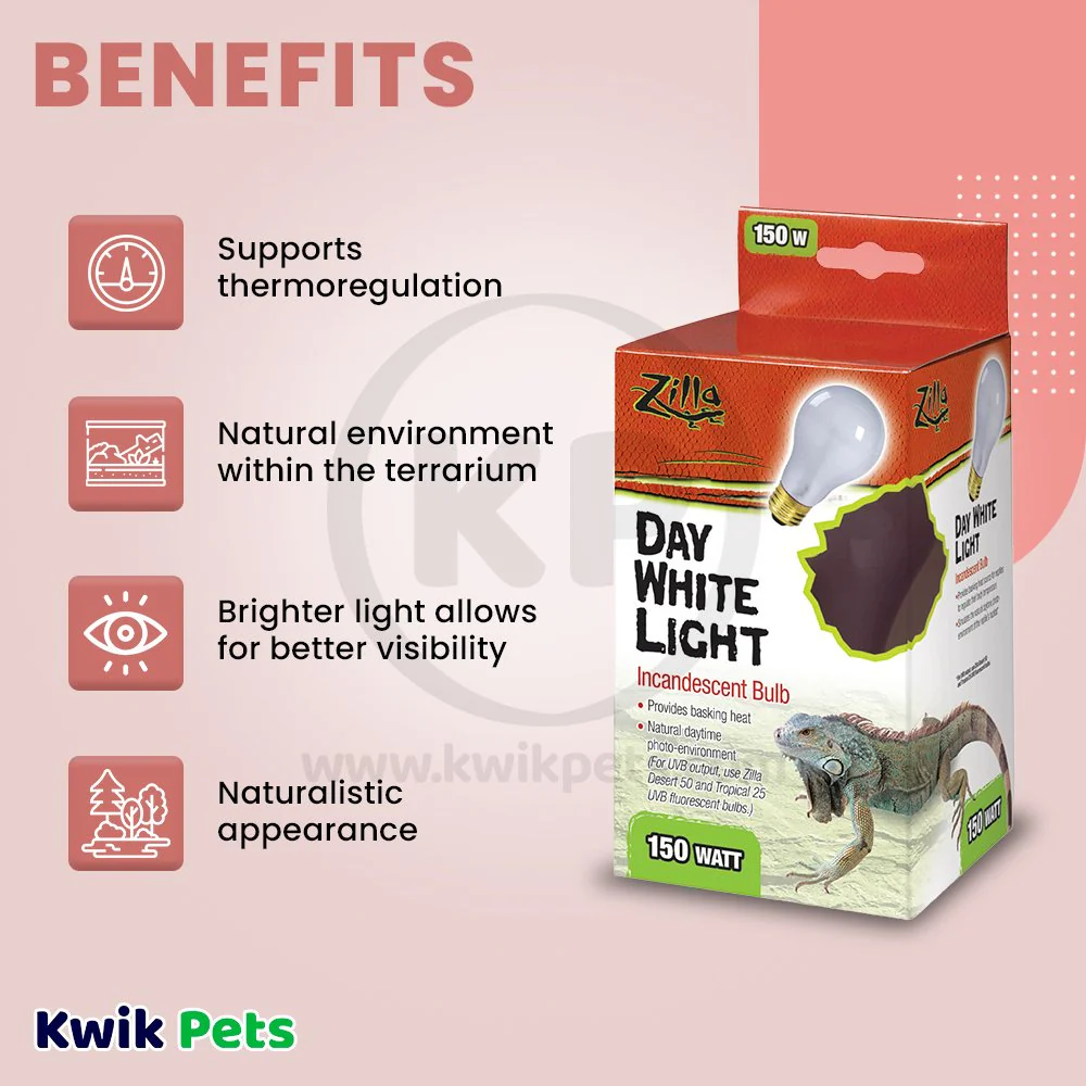 Zilla Day White Light Incandescent Bulb 150W - Image 3