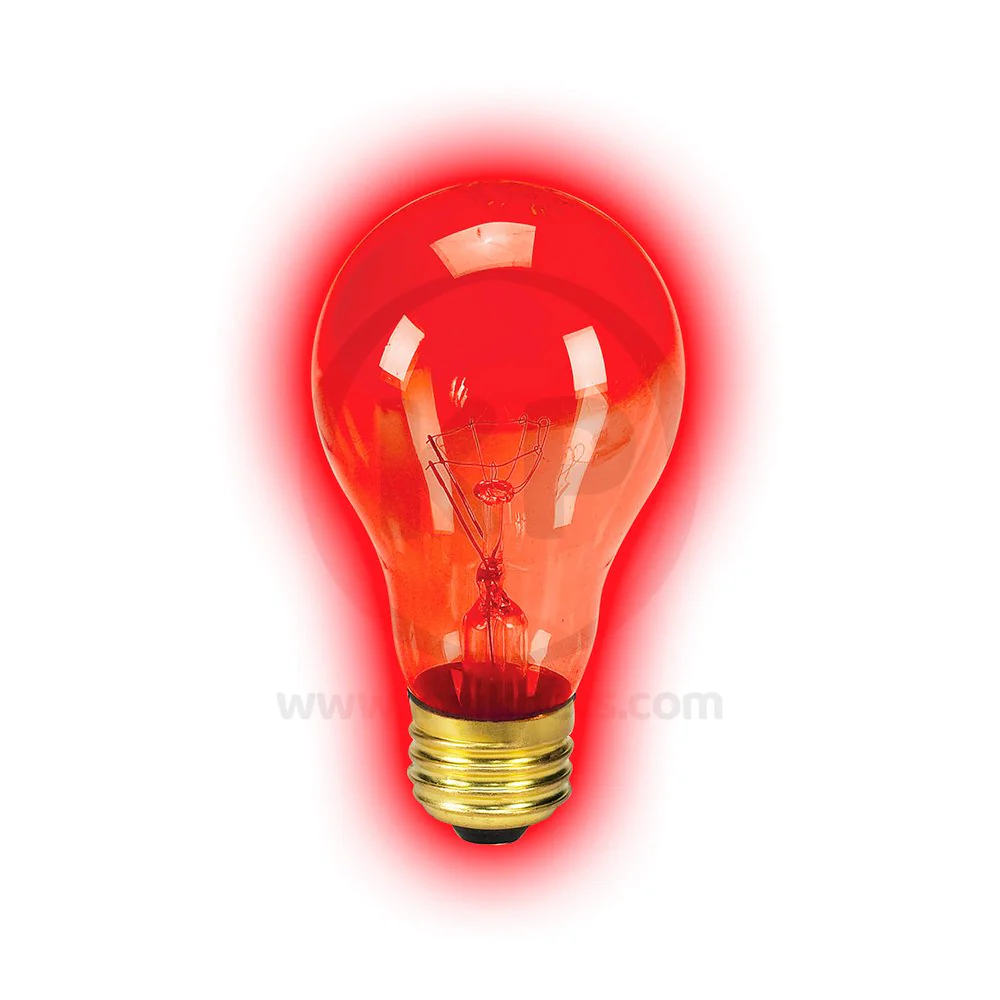 Zilla Night Red Heat Incandescent Bulb 100W - Image 4