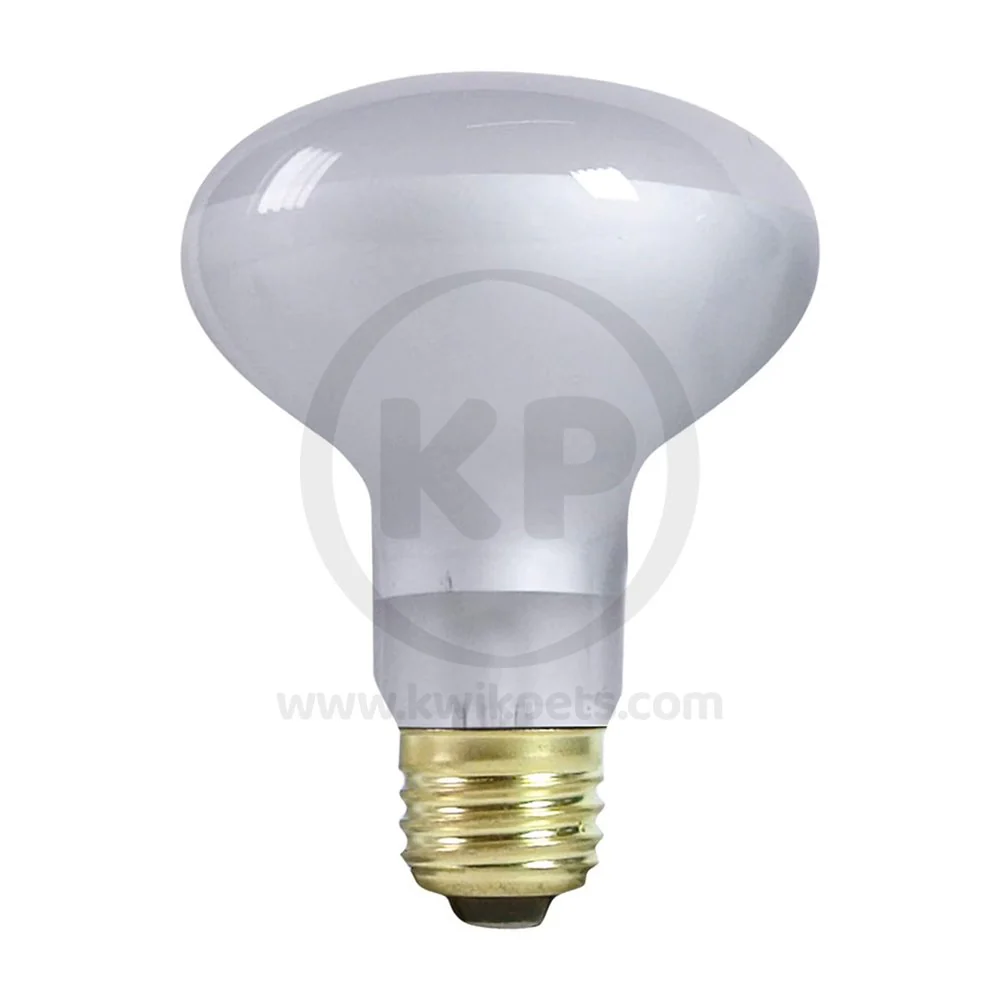 Zilla Day White Light Incandescent Spot Bulb 50W - Image 4