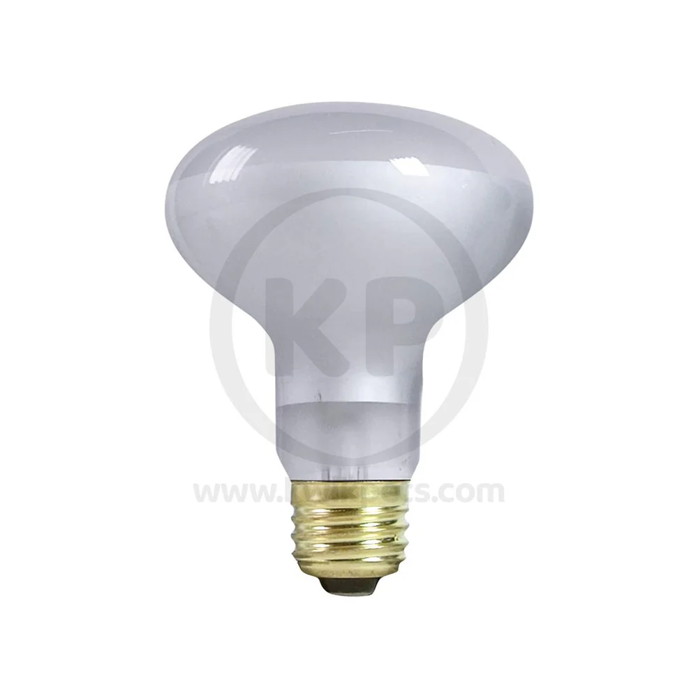 Zilla Day White Light Incandescent Spot Bulb 75W - Image 4