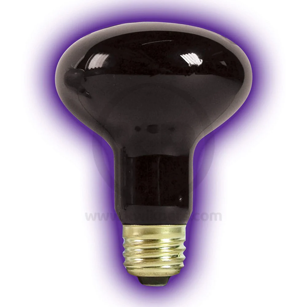 Zilla Night Black Heat Incandescent Spot Bulb 50W - Image 4