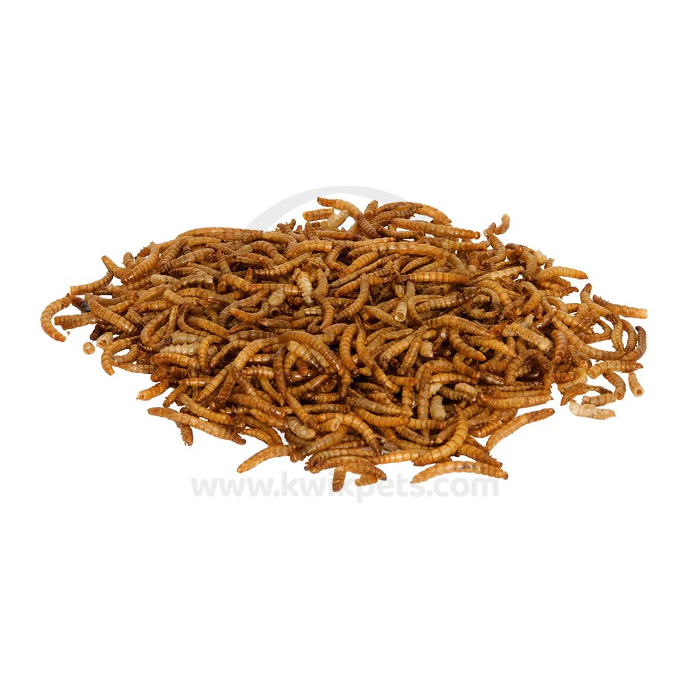 Zilla Mealworms Reptile Munchies 3.75-oz - Image 7