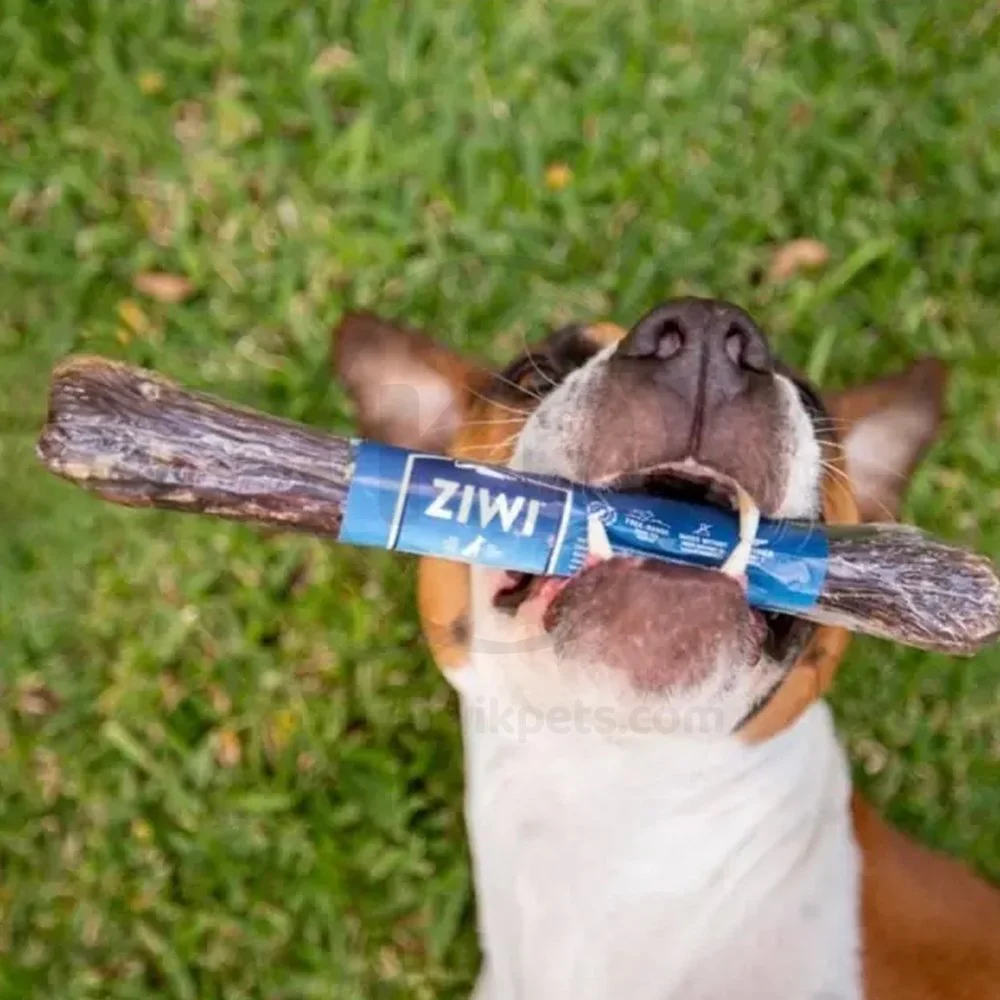 Ziwi Venison Deer Full Shank Air-Dried Dog Bone Chew Treat - Image 6