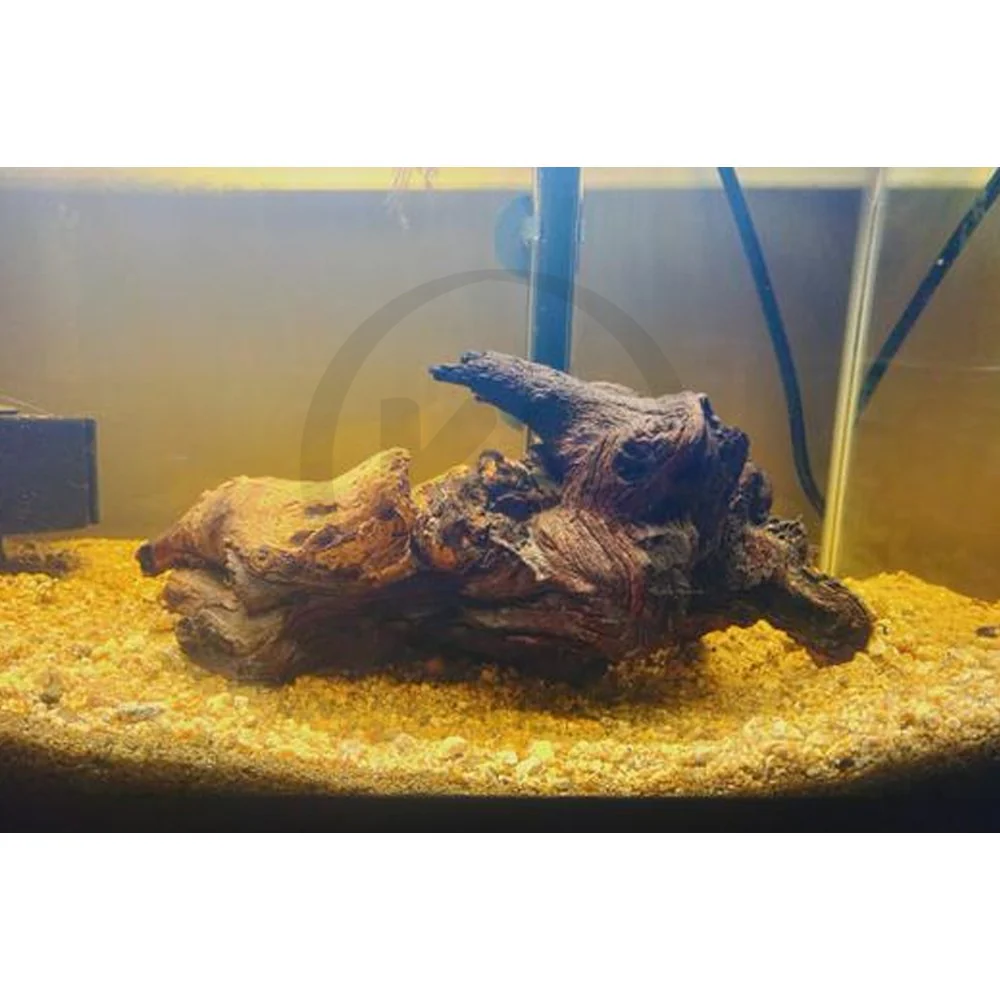 Zoo Med Aquarium Mopani Wood Brown Small 6-8 in - Image 3