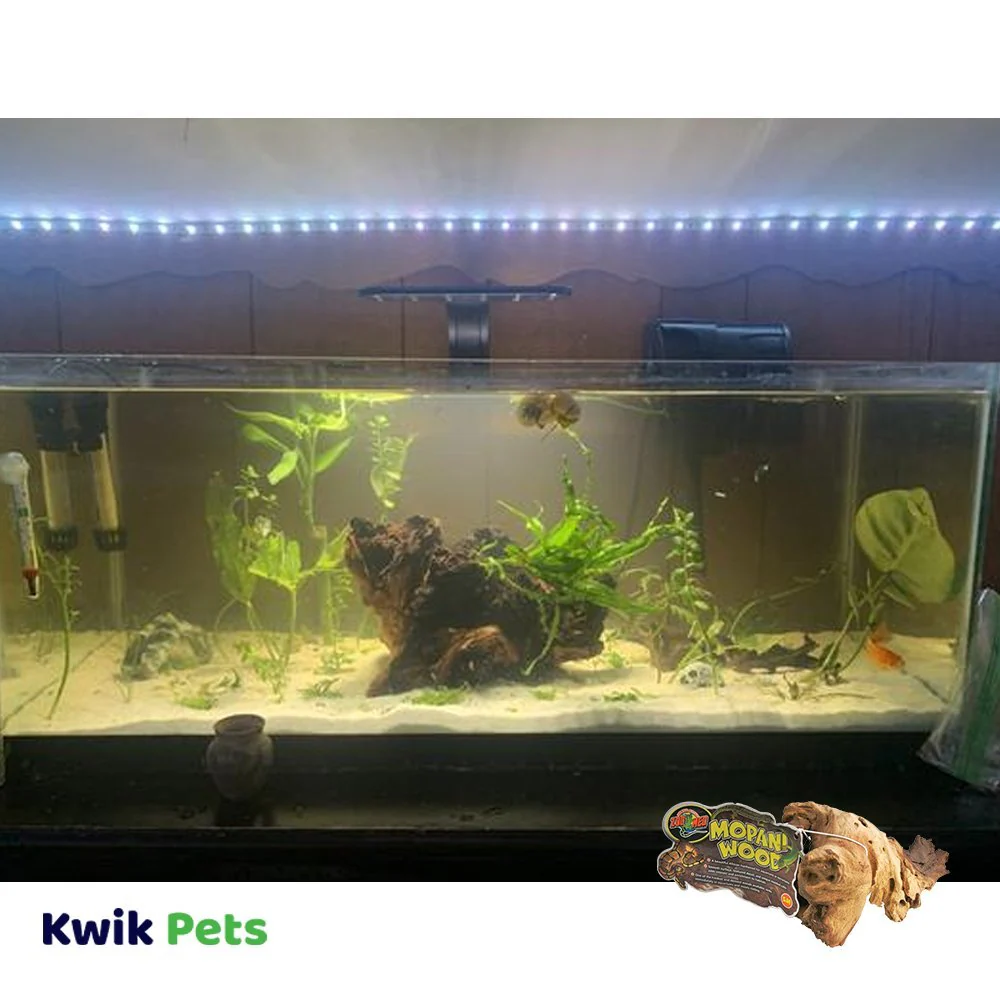 Zoo Med Aquarium Mopani Wood Brown Small 6-8 in - Image 4