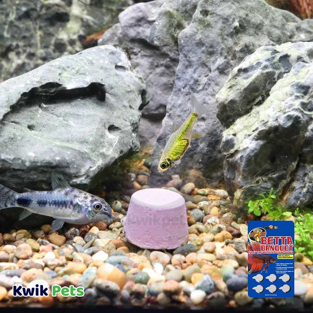 Zoo Med Betta Banquet 7 Day Release Fish Feeding Block 0.3-oz - Image 4