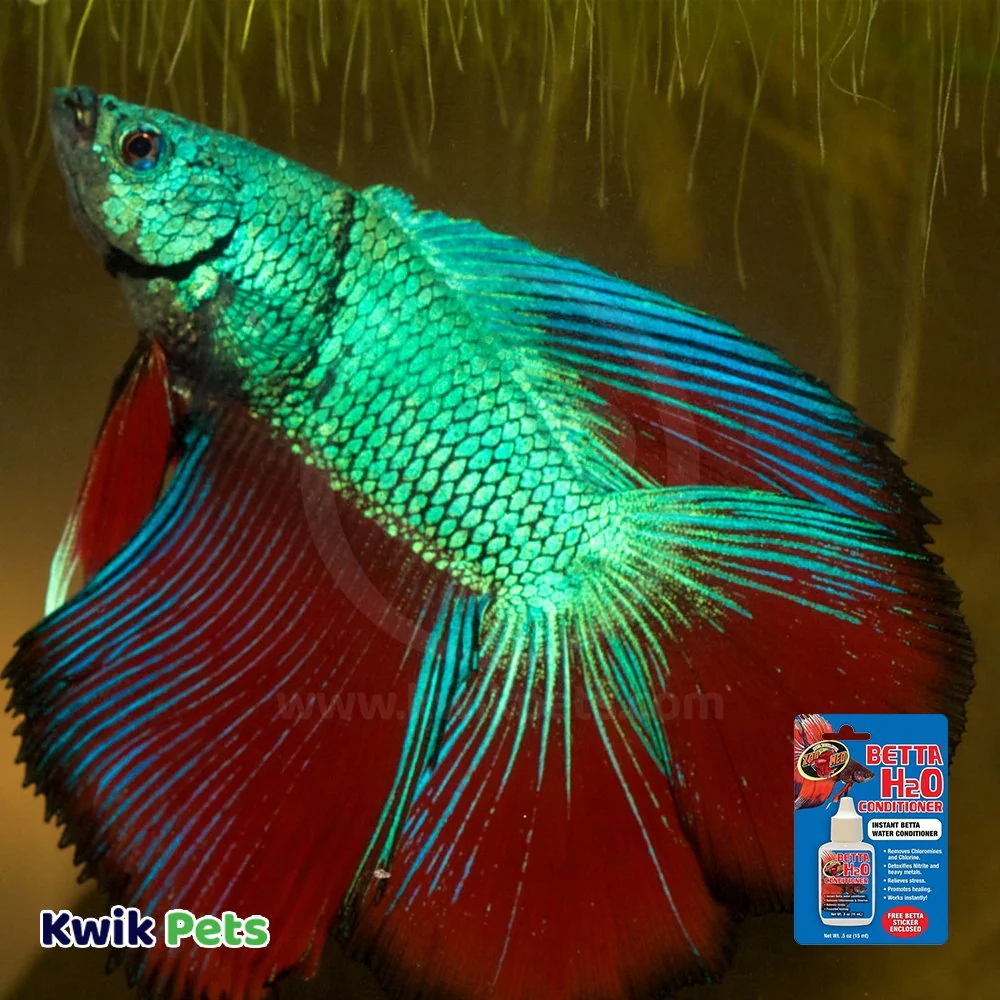 Zoo Med Betta H2o Conditioner 0.5-oz - Image 5