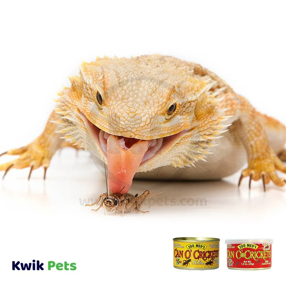 Zoo Med Can O' Adult Crickets Reptile Wet Food 1.2-oz - Image 4