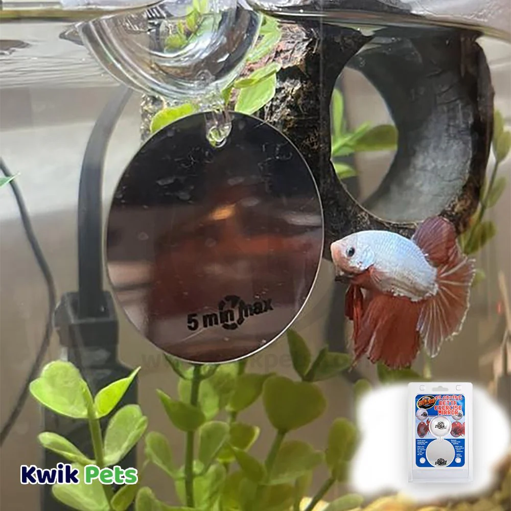 Zoo Med Floating Betta Exercise Mirror Aquarium Ornament White - Image 4