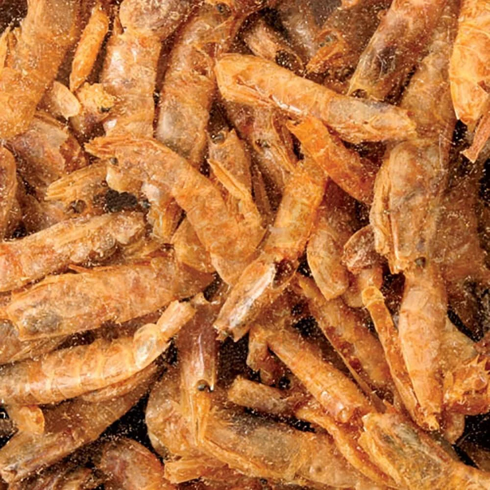 Zoo Med Sun-Dried Large Red Shrimp Reptile Food 5-oz - Image 4