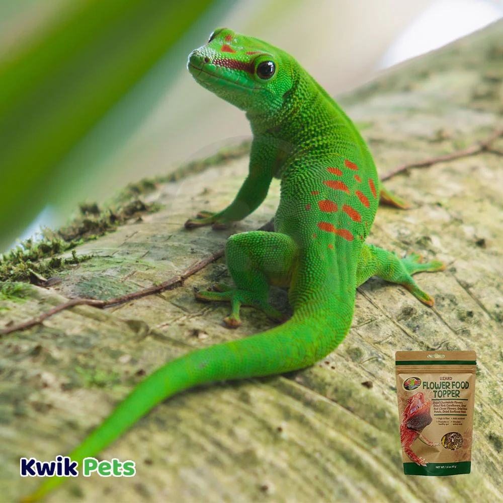Zoo Med Lizard Flower Food Topper 1.4-oz - Image 3
