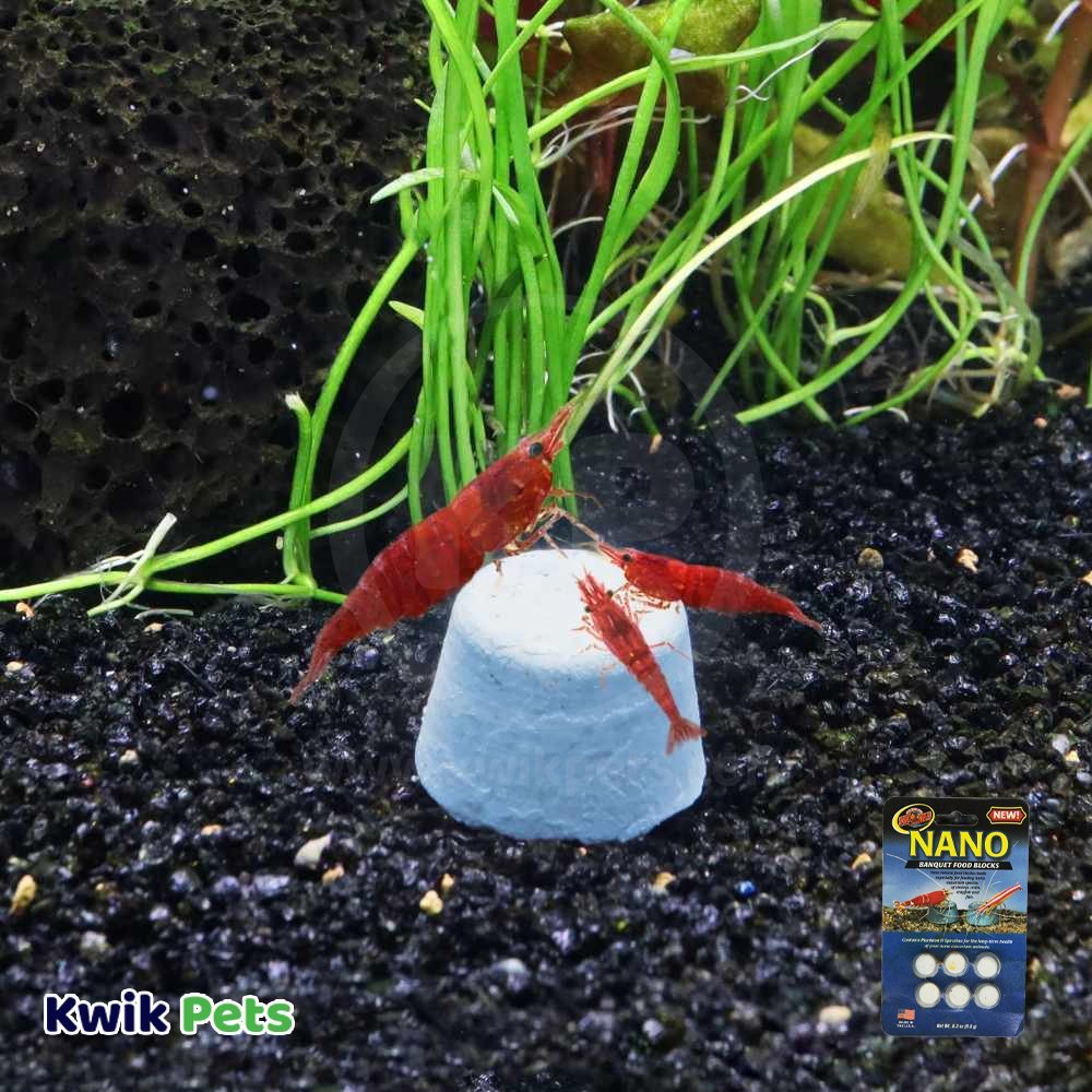 Zoo Med Nano Banquet Fish Feeding Block Mini 0.3-oz - Image 4