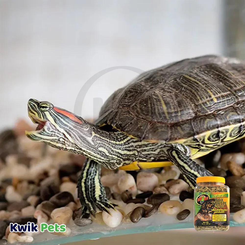 Zoo Med Natural Box Turtle Pellet Food 10-oz - Image 5