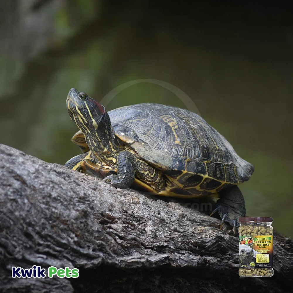 Zoo Med Natural Grassland Tortoise Dry Food 35-oz - Image 6