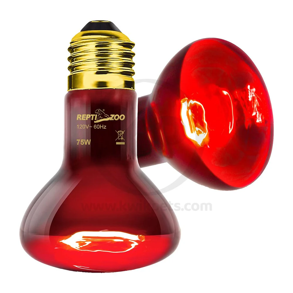 Zoo Med Nocturnal Infrared Heat Lamp 50W - Image 4