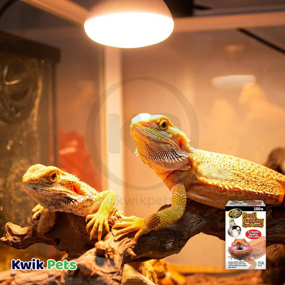 Zoo Med Repti Basking Spot Lamp 100W - Image 5