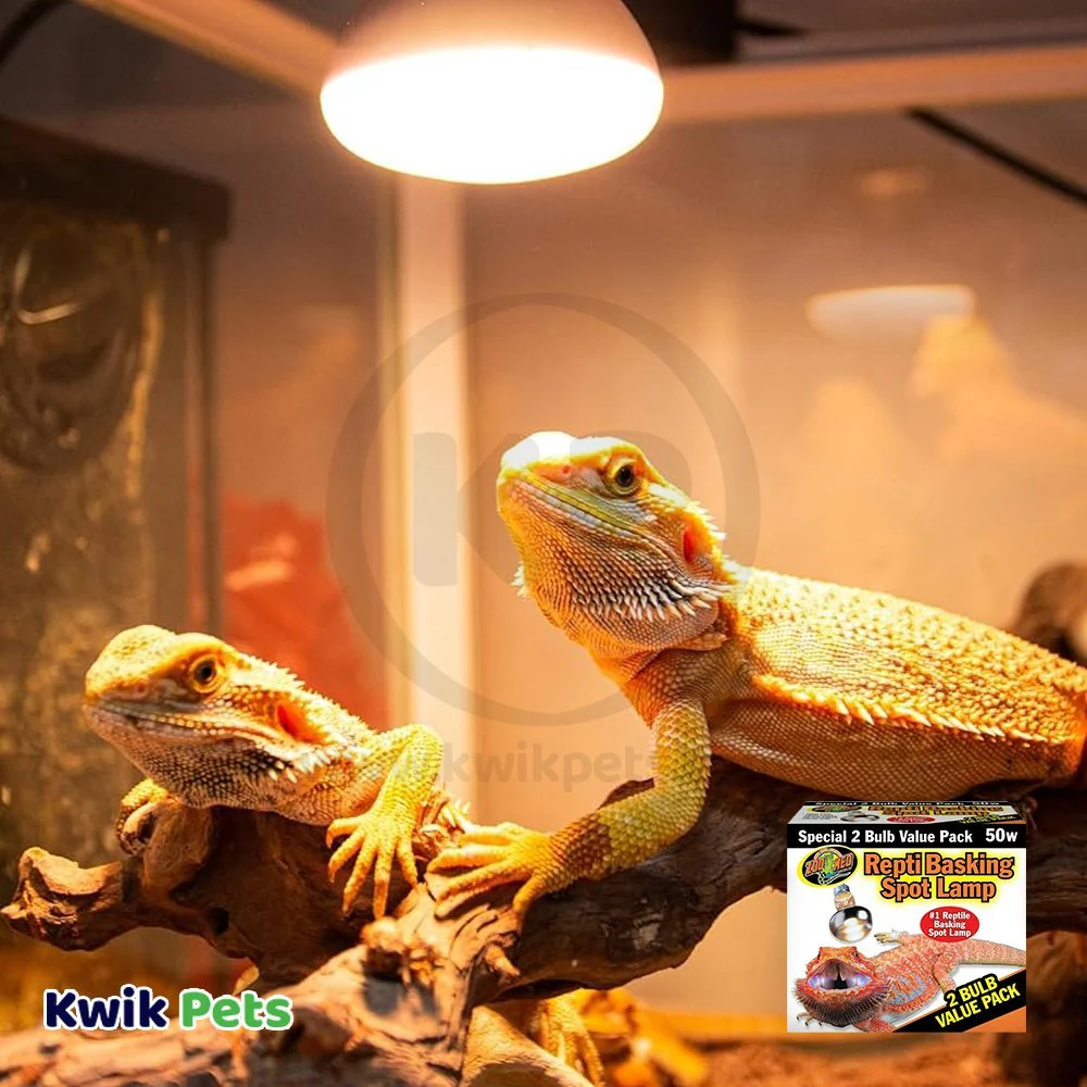 Zoo Med Repti Basking Spot Lamp 50W 2 Count - Image 5