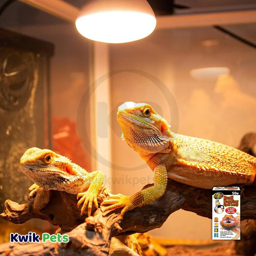 Zoo Med Repti Basking Spot Lamp 50W - Image 5